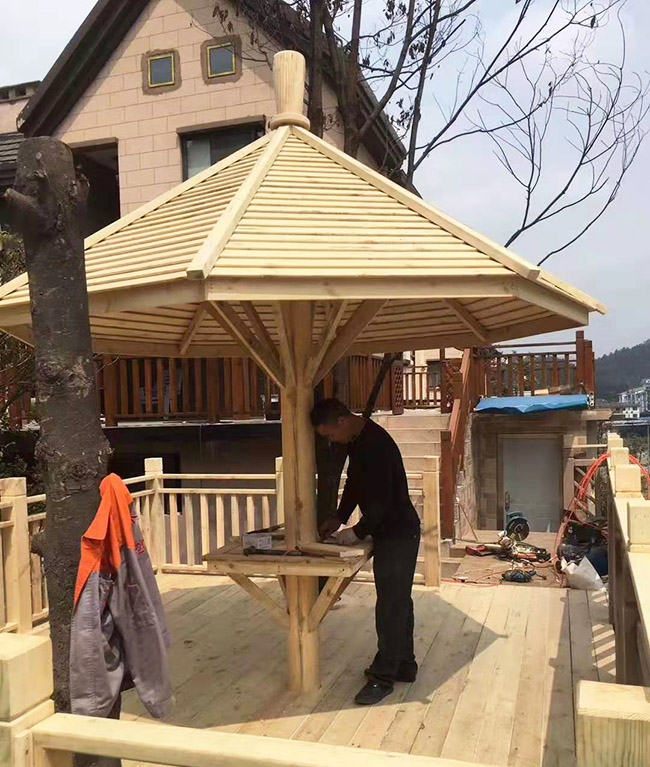 ������ͤ